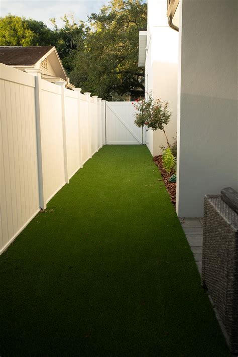 Artificial Turf For Dogs: Pros and Cons You Should Consider in Florida