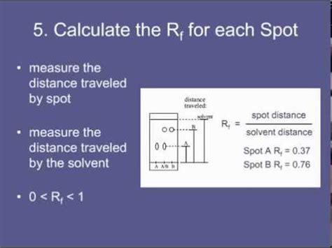 Calculating Rf Values | Doovi