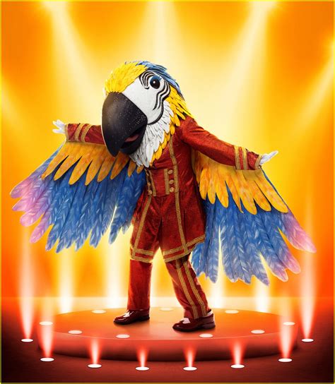 Who is Macaw on 'The Masked Singer' Season 9? Clues, Guesses, & Spoilers Revealed!: Photo ...