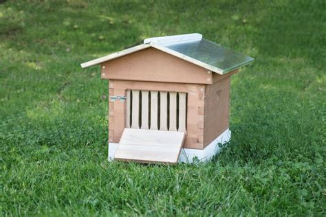 Backyard Bee Hive | Backyard bee, Backyard beekeeping