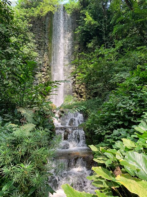 Jurong bird park waterfall. At 30m high used to be the tallest man-made ...