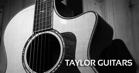 The 5 Best Taylor Guitar Reviews