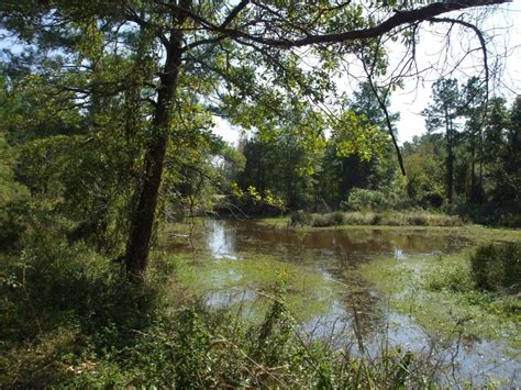 Neches River National Wildlife Refuge – Texan By Nature