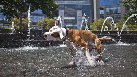 We may soon be able to predict heat waves 7 weeks before they happen ...