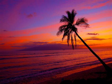 Hawaii Sunset Wallpapers - Top Free Hawaii Sunset Backgrounds - WallpaperAccess