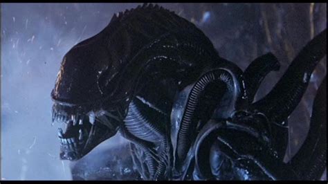 Mr. Movie: Alien (1979 Movie Review)