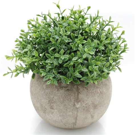 The 10 Best Artificial Grass Plants In Pots For Home Decor Indoor - Home Gadgets