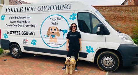 Setting Up Your Mobile Dog Grooming - Florida Independent