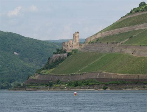 View of the Rhine River from Bingen Germany