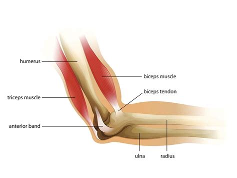 Dr Terence Moopanar | Elbow Conditions Overview