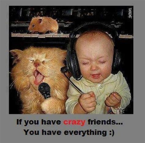 20 Best and Funny Friendship Quotes | Quotes and Humor