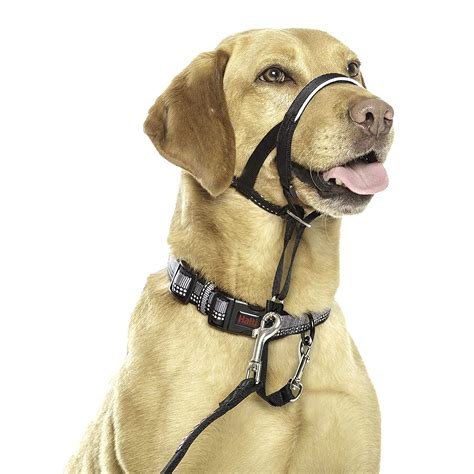 Halti Headcollar Obedience Training Comfortable Stops Pulling Halter ...