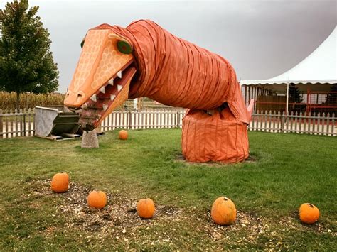 10 Of The Best Pumpkin Patches Around Chicago - Secret Chicago