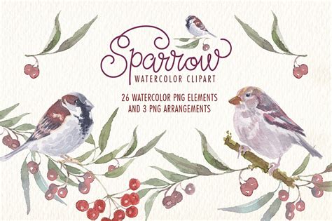 Watercolor Sparrow Bird PNG Clipart Watercolor Clip Art Ideal Printable Poster Cards Stickers ...