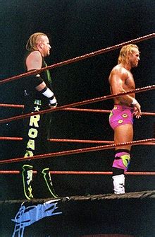 D-Generation X - Wikipedia