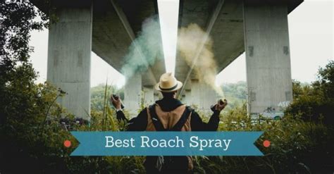 6 Best Roach Spray in 2023 - Pest Survival Guide