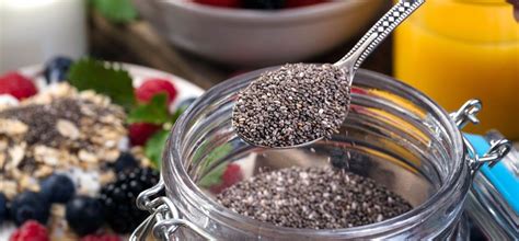 Benefits of Chia Seeds: चिया सीड खाण्याचे फायदे, वजन कमी करण्यातही करू ...