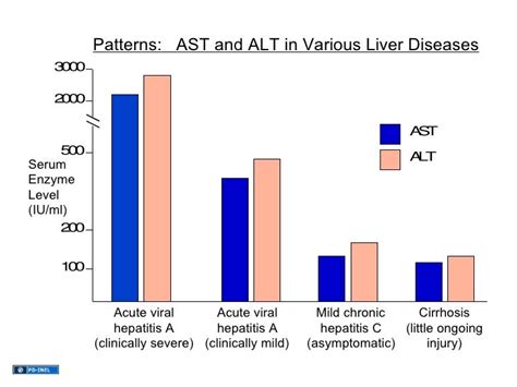 High Ast And Alt / Elevated Liver Enzymes: Causes and Symptoms | IYTmed.com : • negative ...