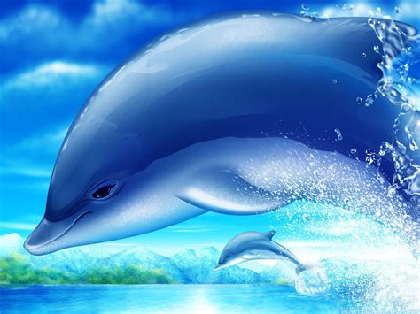 Cute Dolphin Wallpaper ·① WallpaperTag