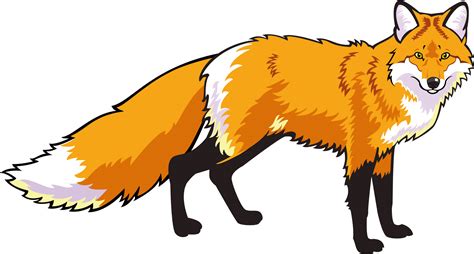 Download Transparent Wildlife Drawing Fox Image Transparent Library - Dibujo De Un Zorro Rojo ...