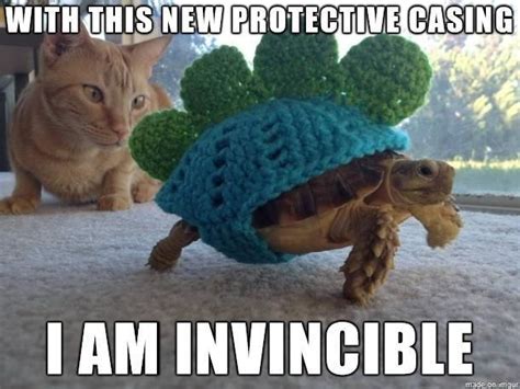 Turtles Are Slow But Sure Know How To Be Funny (27 Memes That Prove It ...