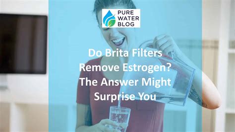 Do Brita Filters Remove Estrogen? The Answer Might Surprise You - Water Treatment