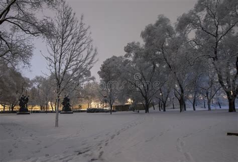 Winter night scenery stock photo. Image of evening, landscape - 67755316