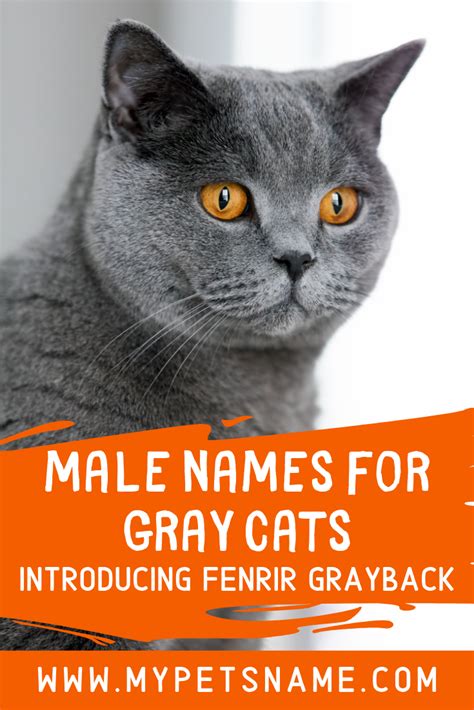 There are many famous male ‘Grays’ to provide inspiration for male ...