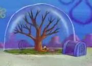 Sandy's Treedome – From SpongePedia, the biggest SpongeBob-wiki in the world!