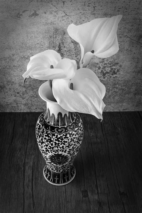 Three Calla Lilies in a Vase in Black and White Stock Image - Image of lily, blossom: 254250591
