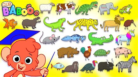 Animal Alphabet Zoo