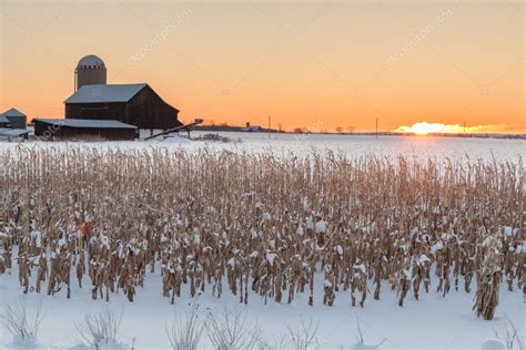 Winter Farm — Stock Photo © mlishansky #19475461