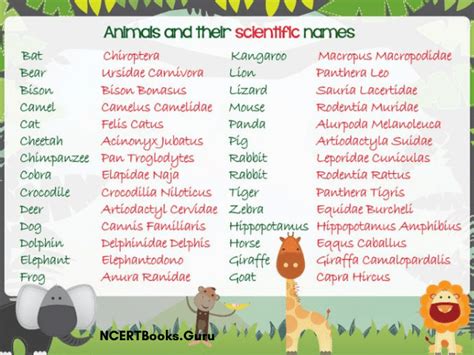 Scientific Names of Animals | List of Animals Common & Binomial Names