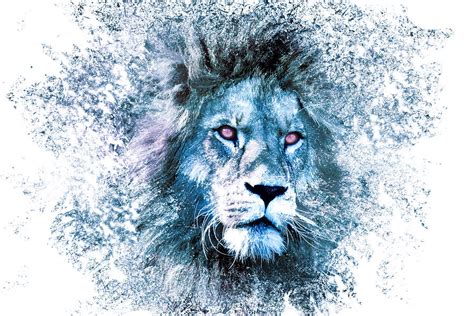 Galaxy LION in space particles Digital Art by Dusan Naumovski