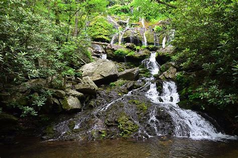 Hiking in Hendersonville (30+ Great Trails Within 1 Hour)