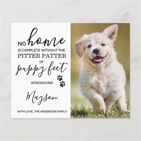 Budget Custom Photo New Pet Puppy Announcement | Zazzle | Puppy announcement, Pet puppy, Puppies