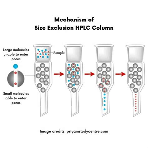 HPLC Columns – Definition, Principle, Types, and Maintenance