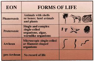 Fossils, Rocks, and Time: Rocks and Layers