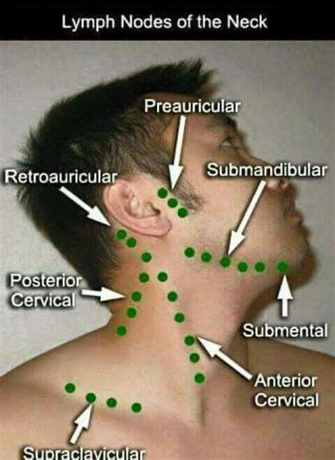 Enlarged lymph node in back of neck - polkmotor