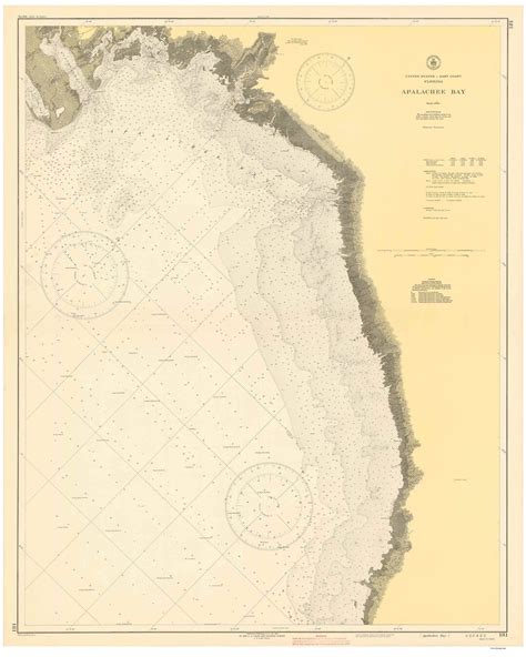 Apalachee Bay 1942 Nautical Map Reprint Florida 80000 AC - Etsy