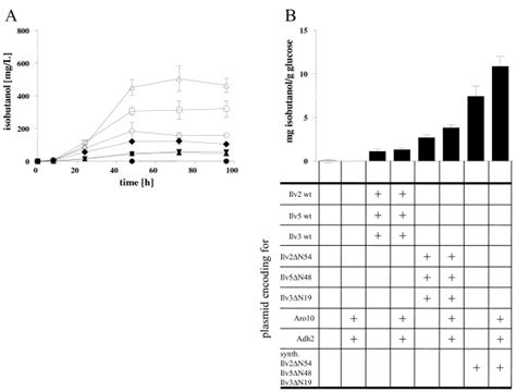 Isobutanol production with strains expressing the cytosolic valine ...