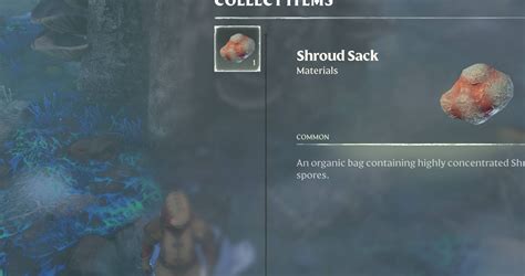 Enshrouded: How To Get Shroud Sacks