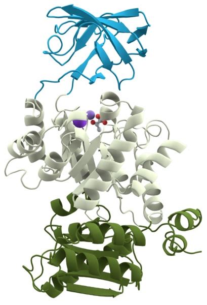 What is the Difference Between Motif and Domain in Protein Structure - Pediaa.Com