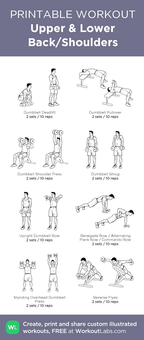 Upper & Lower Back/Shoulders | Back and shoulder workout, Printable workouts, Workout labs