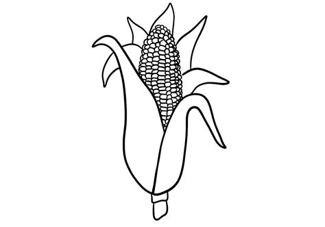 Discover more than 161 corn picture drawing best - seven.edu.vn