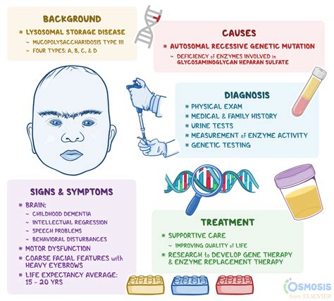 Mucopolysaccharidosis Type Iii Sanfilippo Syndrome And Misdiagnosis | Porn Sex Picture