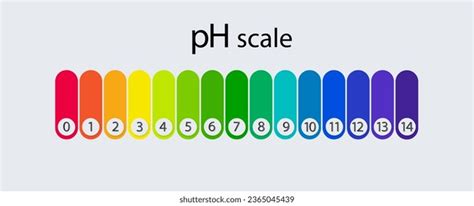 Ph Scale Chart Acid Alkaline Solutions Stock Vector (Royalty Free ...