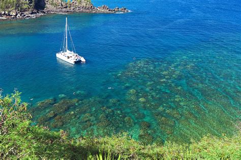 Snorkeling Honolua Bay - Worth The Drive, Hike And Long Swim