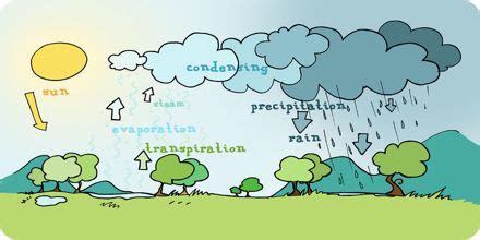 What is Condensed Water Vapor? - Assignment Point