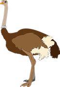 Free vector graphic: Emu, Ostrich, Bird, Large - Free Image on Pixabay - 293916